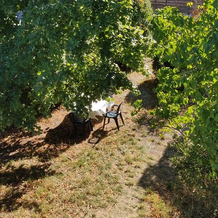 Rendez-Vous Sous Le Tilleul, En Cevennes. Molieres-Cavaillac エクステリア 写真